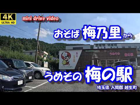 おそば梅乃里 から うめその梅の駅 【4K 車載動画】 埼玉県 入間郡 越生町 24年9月7日