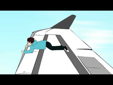 Minecraft Airplane Disaster Animatic