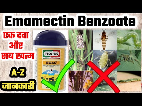 Emamectin Benzoate क्यों है इतना खतरनाक | Emamectin Benzoate Insecticide A-Z Imformation