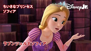 🏰ちいさなプリンセス ソフィア｜ラプンツェルとソフィア｜ディズニープリンセス｜@disneyjuniorjp