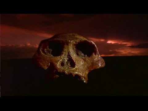 DC Searching for Lost Worlds | Skull Wars The Missing Link