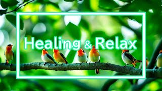 聴くだけで心身ともに癒される美しいヒーリングミュージック　Healing & Relax Music 『Forest Healing』《60min》【睡眠 デルタ波 瞑想 学習 作業用】