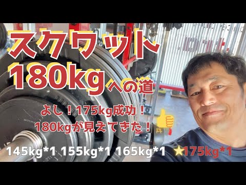 175㎏成功！180㎏が見えてきた！！　スクワット180㎏への道　～50歳でBIG3トータル500㎏への道～