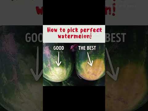 #ok #it #so #hot #this #is #a #good #summer #treat #how #to #pick #a #goodone #watermelon