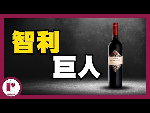 【必看】徹底改變歷史的巨人- Viñedo Chadwick (粵語中字)【酒瓶故事】