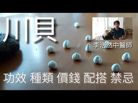 川貝點解咁好用？揀邊種最好？點樣揀？價錢如何？點樣配搭？咁好用既中藥都會有人唔適合？