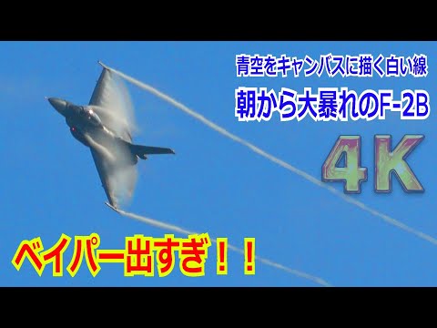 【4K】ベイパー出しすぎ！！F-2B（洋上迷彩機）機動飛行でオープニングから上下左右に激しく飛び回る 2024/11/17【岐阜基地航空祭2024】