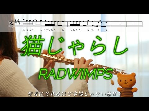 【フルート】猫じゃらし / RADWIMPS【歌詞･楽譜】