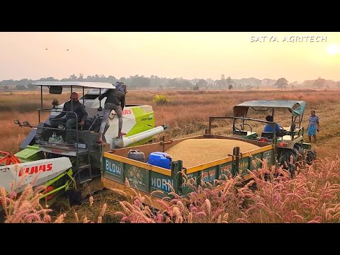 Satya Agritech Paddy harvesting Challenges & Fun | Claas Harvester | John Deere