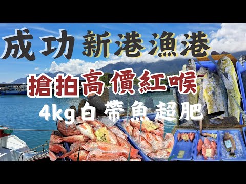 台東成功魚港：號稱魚界法拉利：上百條高單價紅喉魚店家搶拍｜1.3kg 紅喉一尾 2700丨大白帶魚一尾2200｜滿滿鬼頭刀｜大哥教我如何挑肥美魚丨