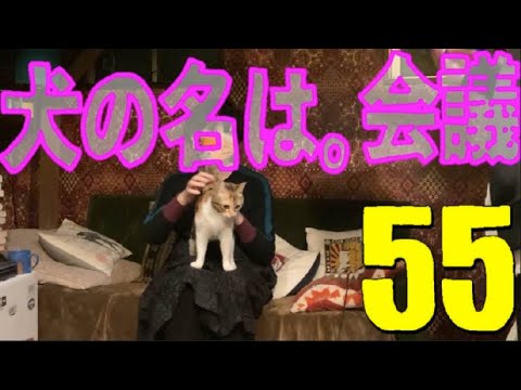 犬の名は。会議【第55回 俺たちデトックス女子会会議室】