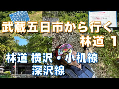 林道 横沢・小机線　深沢線　武蔵五日市から行く林道探索 1　久しぶりの完抜け林道【グラベルさんいらっしゃい】