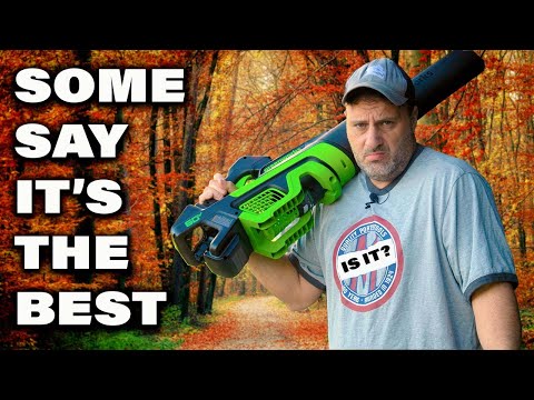 The best battery powered leaf blower you can buy? Some claim yes