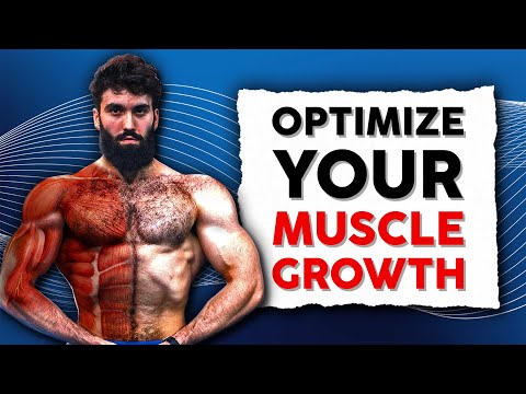 What Are The Best Exercises to Build Muscle? (Science Explained)