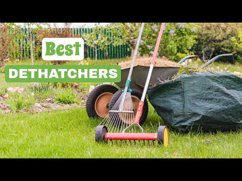 Best Dethatchers: Revive Your Lawn's Health and Beauty | The Guardians Choice