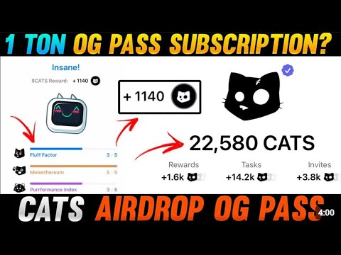 OG Pass Unlock 🔓 Double Cats Airdrop Rewards | How to complete OG pass and daily transaction 0.2 ton