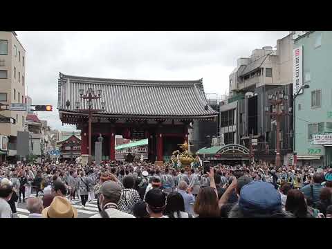 三社祭　町会神輿連合渡御