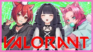 【VALORANT】ヴァロコラボ！w/小鳥遊ごま3 もみじ3