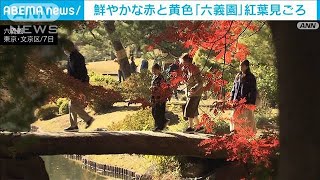 「六義園」鮮やか！赤と黄色のコントラスト 紅葉見ごろに(2024年12月7日)