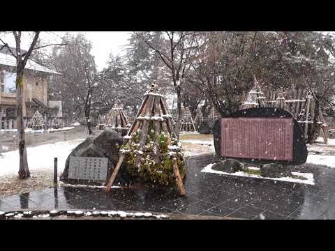 山形縣米沢市上杉神社下雪3