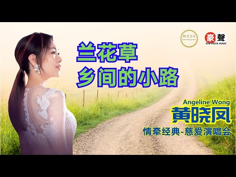 Angeline黄晓凤《兰花草+乡间的小路》【情牵经典-慈爱演唱会】(Live) Official Music Video