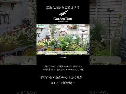 🕊Garden Tour🕊100：大好きなガーデン雑貨をアクセントに飾りながら、鉢植えをメインに色々なディスプレイを楽しむお庭#shorts