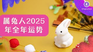 2025年属兔人全年运势运程 生肖兔2025年全年运势解析 2025年属兔人全年运势#属兔人 #生肖兔 #2025年运程 #全年运势 #运势解析 #星座运势 #运势预测