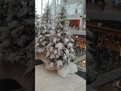 Snow Christmas tree #shortviral #christmastree