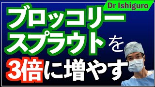 ブロッコリースプラウトの有効成分スルフォラファンを3倍に増やす