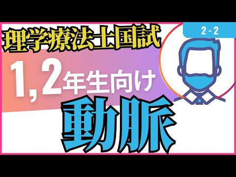 2-2 　動脈編