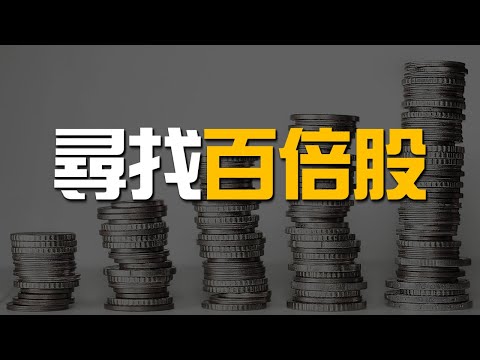 如何識別與投資百倍股 | How to Invest in 100 Baggers Stock | 百萬書閣 THEMBS