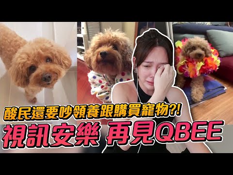 視訊安樂 再見QBEE 酸民還要吵領養跟購買寵物？！【天菜小姐生活系列】