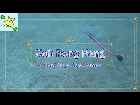 Koh Rong Nang #24