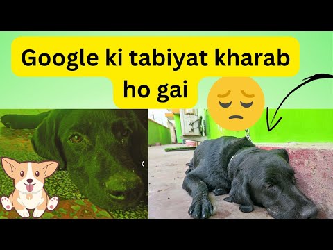 Bad news 💔💔 Pray for Google