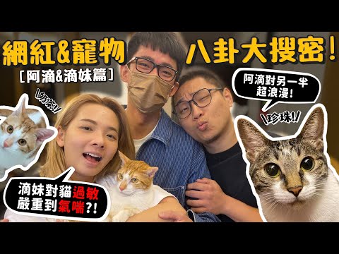 【網紅寵物八卦】阿滴&滴妹!滴妹對貓過敏嚴重到氣喘!私下超浪漫?又把滴妹惹哭了!阿滴大爆料!【許伯簡芝】