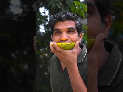 2KG Giant Mango - on the Highways | ராட்சஷ மாம்பழம் பாத்து இருக்கீங்களா ?