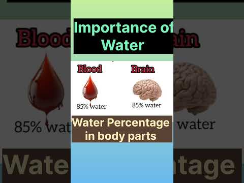 Water Percentage in the part of body