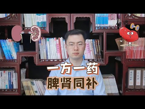 补肾不健脾，一场空欢喜，中医一方一药，脾肾同补！【梁怡璋医生】