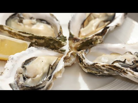 Easy! Plump! How to make steamed oyster with shell