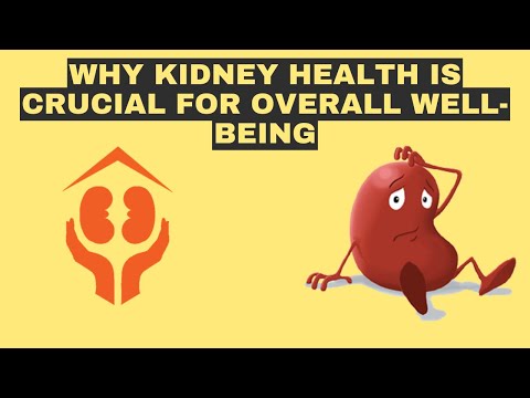 26 questions about kidney health | From Chronic Disease to Kidneys: Understanding the Link