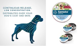 Seresto Flea and Tick Collar for Dogs reviews In 2021 | Seresto™-how does it work?