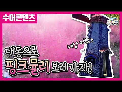 수어로 만나는 대동하늘공원  - 2019-2021 대전 방문의 해 / 대전관광콘텐츠