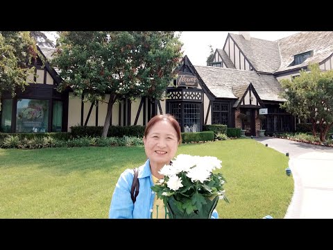 【60代からのアメリカ移住】親愛なるマイケル・ジャクソンの眠る墓地へ【LA VLOG】