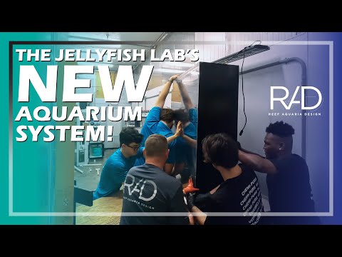 BUILDING A NEW RACK FOR OUR JELLYFISH LAB: NEW KREISEL TANKS (Part 2) |  REEF AQUARIA DESIGN