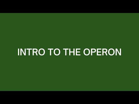 Intro to the Operon