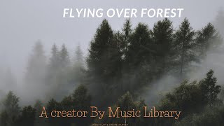 Flying Forest Relaxing Music  4K   (Music Library)