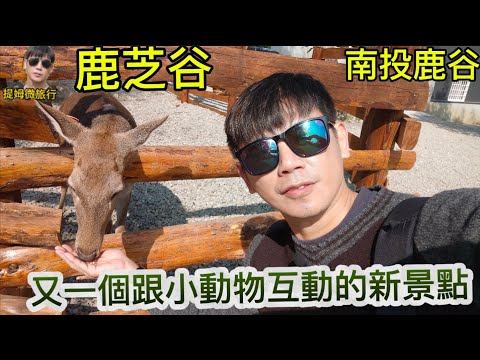 提姆微旅行 | 可愛的動物又一次的親密接觸 | 南投鹿谷最新景點 | 沒去過的都來看看影片