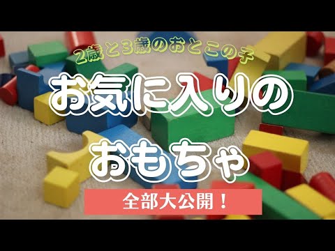 ＼2歳児・3歳児★男の子／お気に入りのおもちゃって？『プレゼントにもオススメ！』