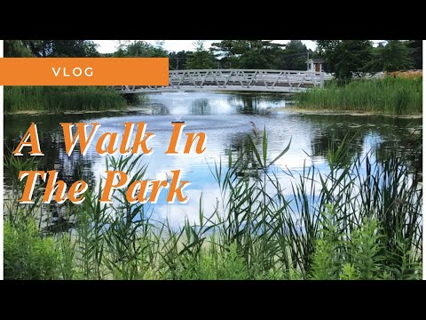 Vlog | A Walk In The Park | Enjoy The Sunny Weather