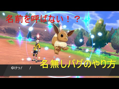 【ポケモン剣盾】名無しのポケモンを入手してみた